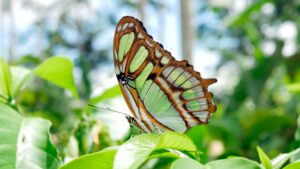 Nature is the best business consultant - Zermatt Summit Foundation Blog